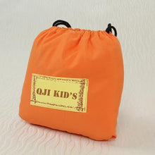 Chair/Seat Safety Carrier