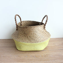 Flower Pot