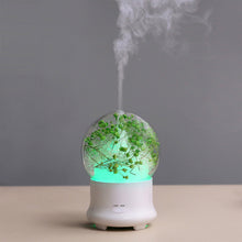 Mist Humidifier